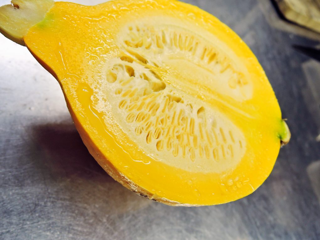 foodpic7072391
