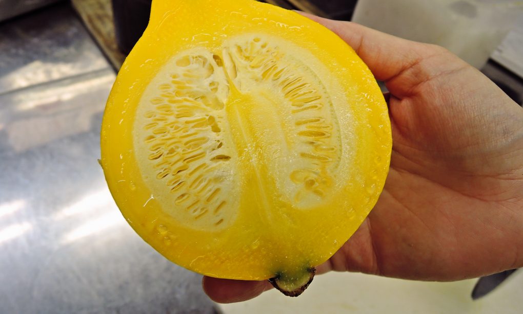 foodpic7078712
